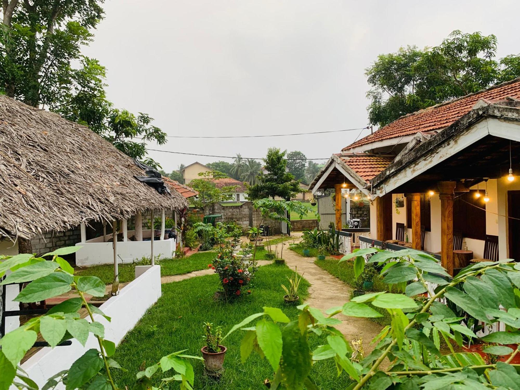 Little Fairy Home B&B Arugam Bay Exterior foto